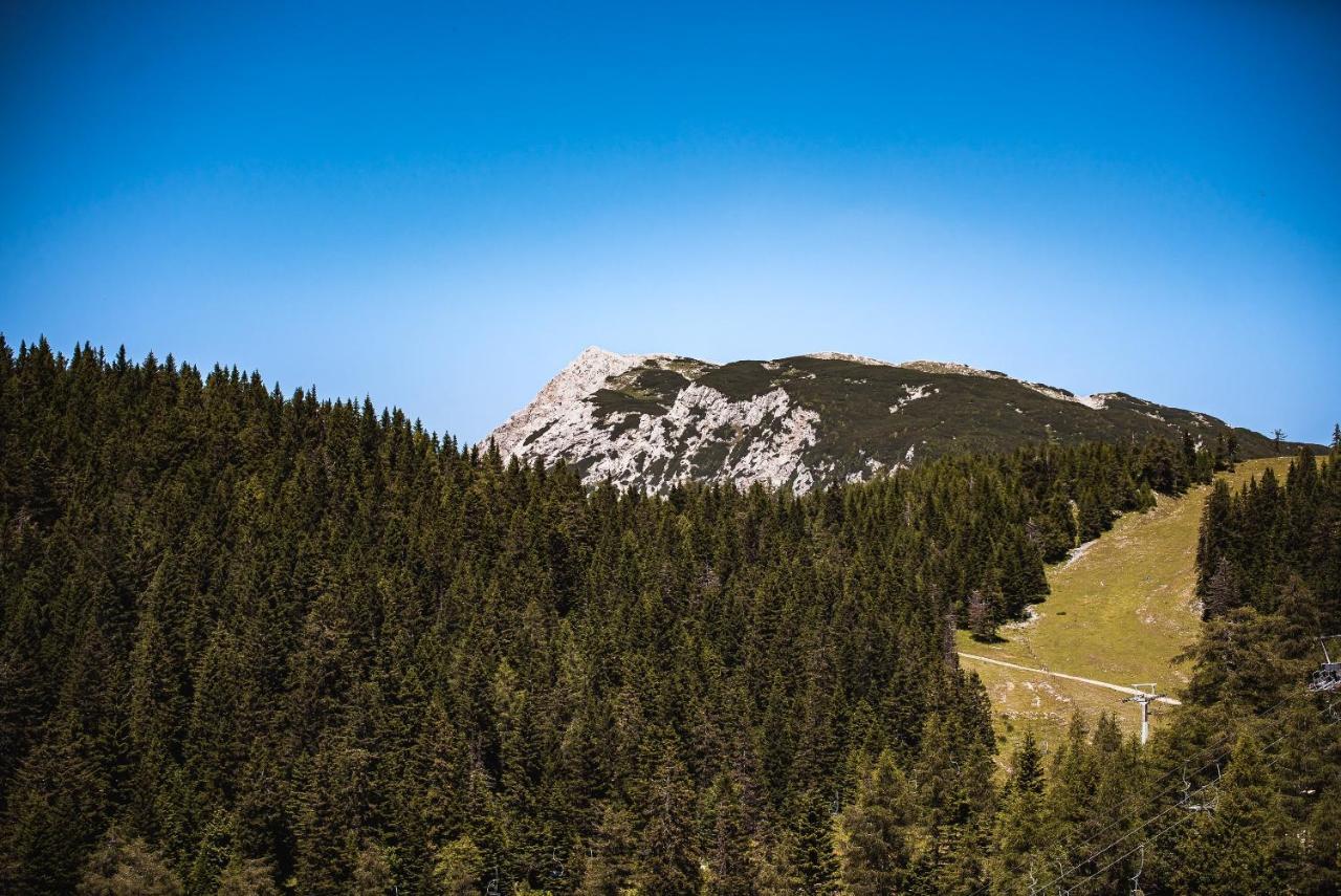 Apartments Zvoh, Krvavec, Ski-In, Ski-Out Cerklje na Gorenjskem Dış mekan fotoğraf