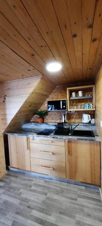 Apartments Zvoh, Krvavec, Ski-In, Ski-Out Cerklje na Gorenjskem Dış mekan fotoğraf